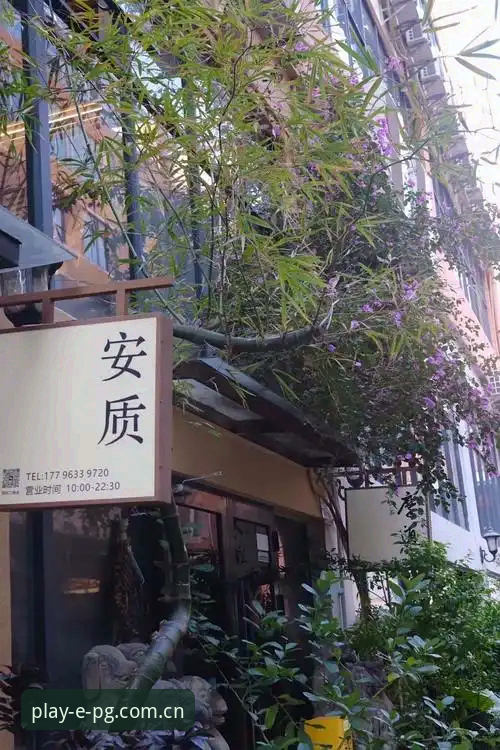 PG官网稳定教程 vs 常见问题排查：哪个更适合新手入门与长期使用？